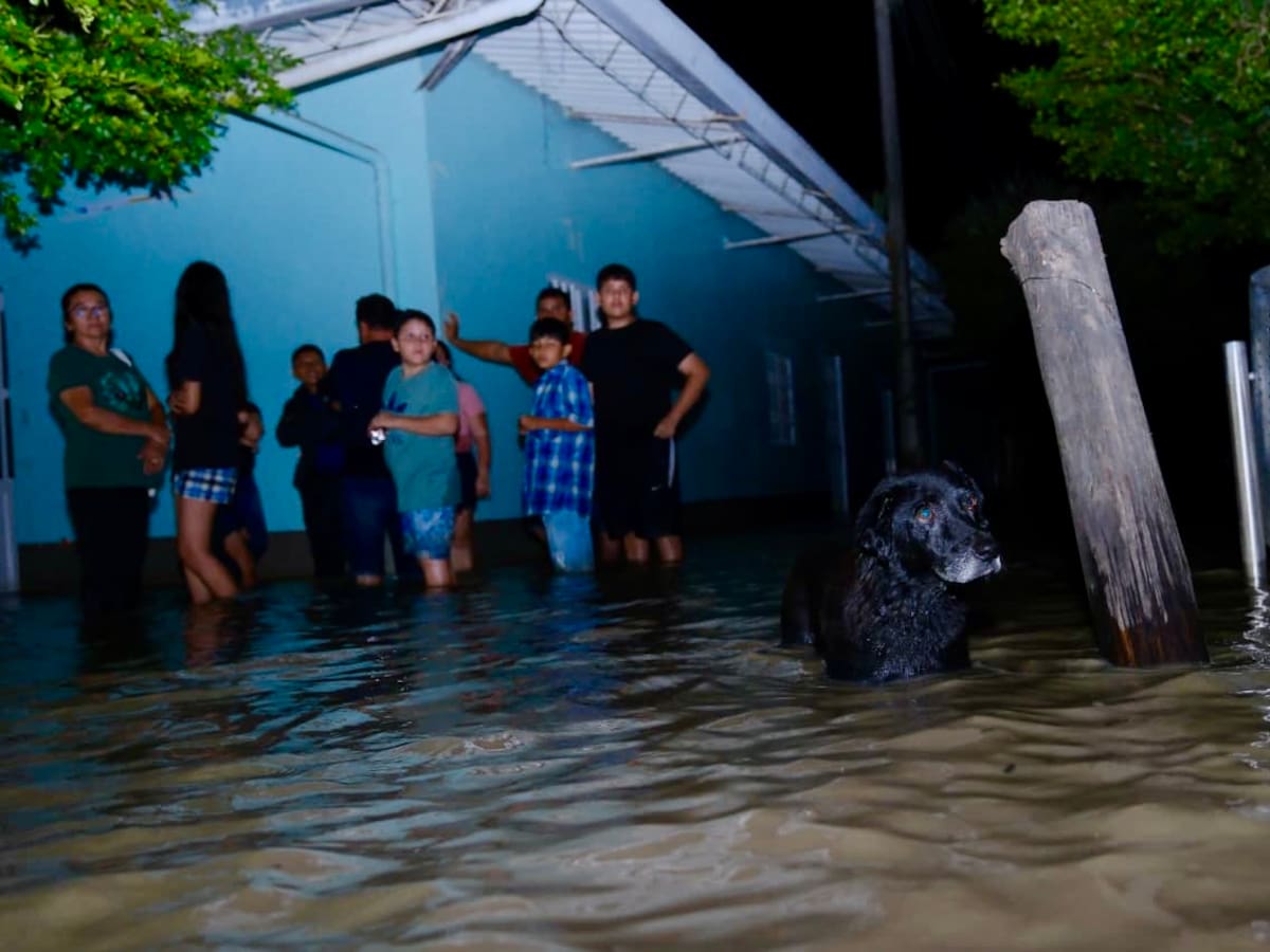 Ejército apoya evacuaciones en Casanare: San Luis de Palenque está inundado en un 80%