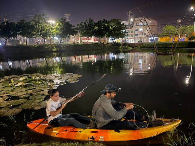Foto: Monitoreo a la babilla por biólogos expertos / Corpamag