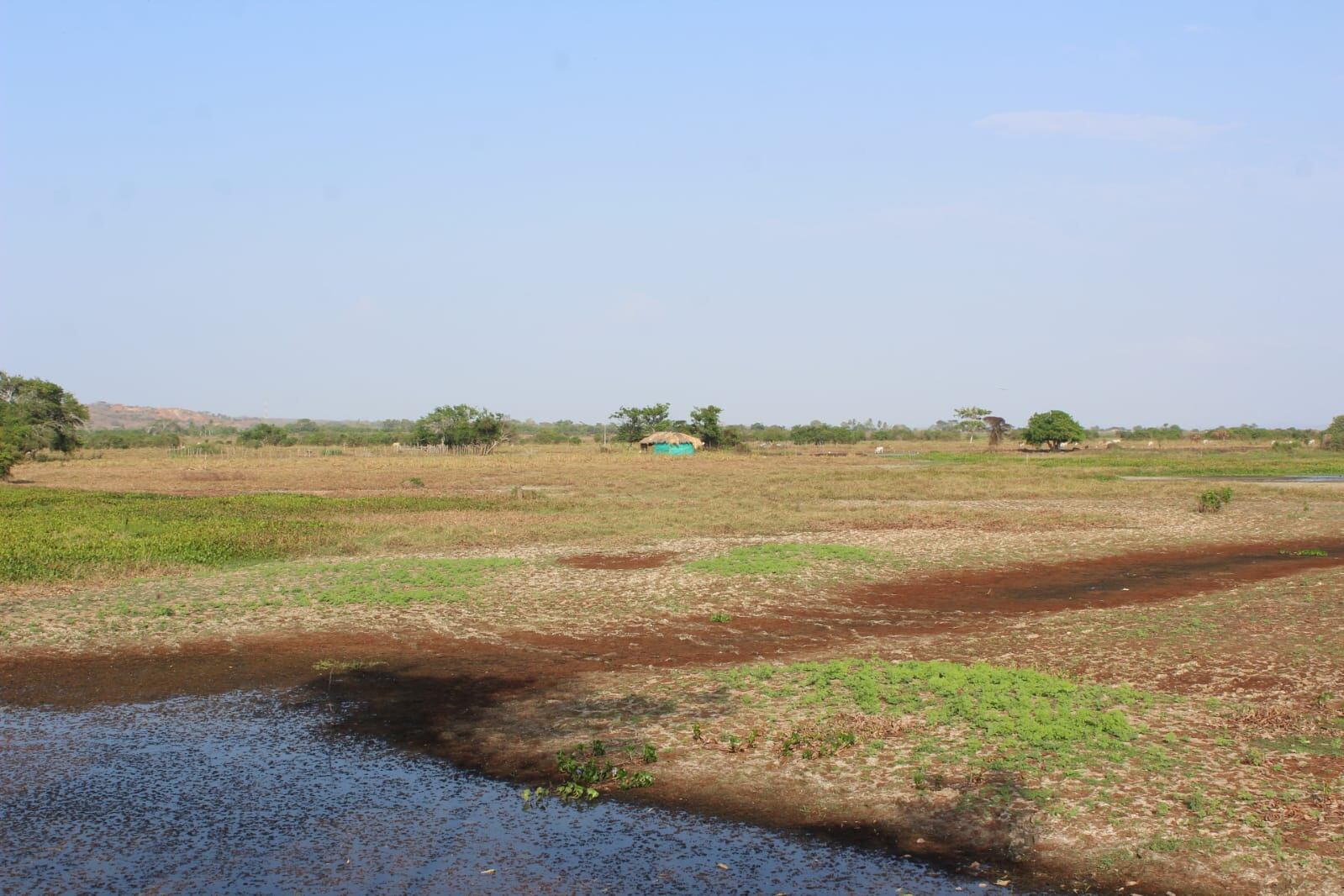 Lorica también declaró la calamidad pública por sequía. Foto: prensa Alcaldía Lorica, Córdoba.
