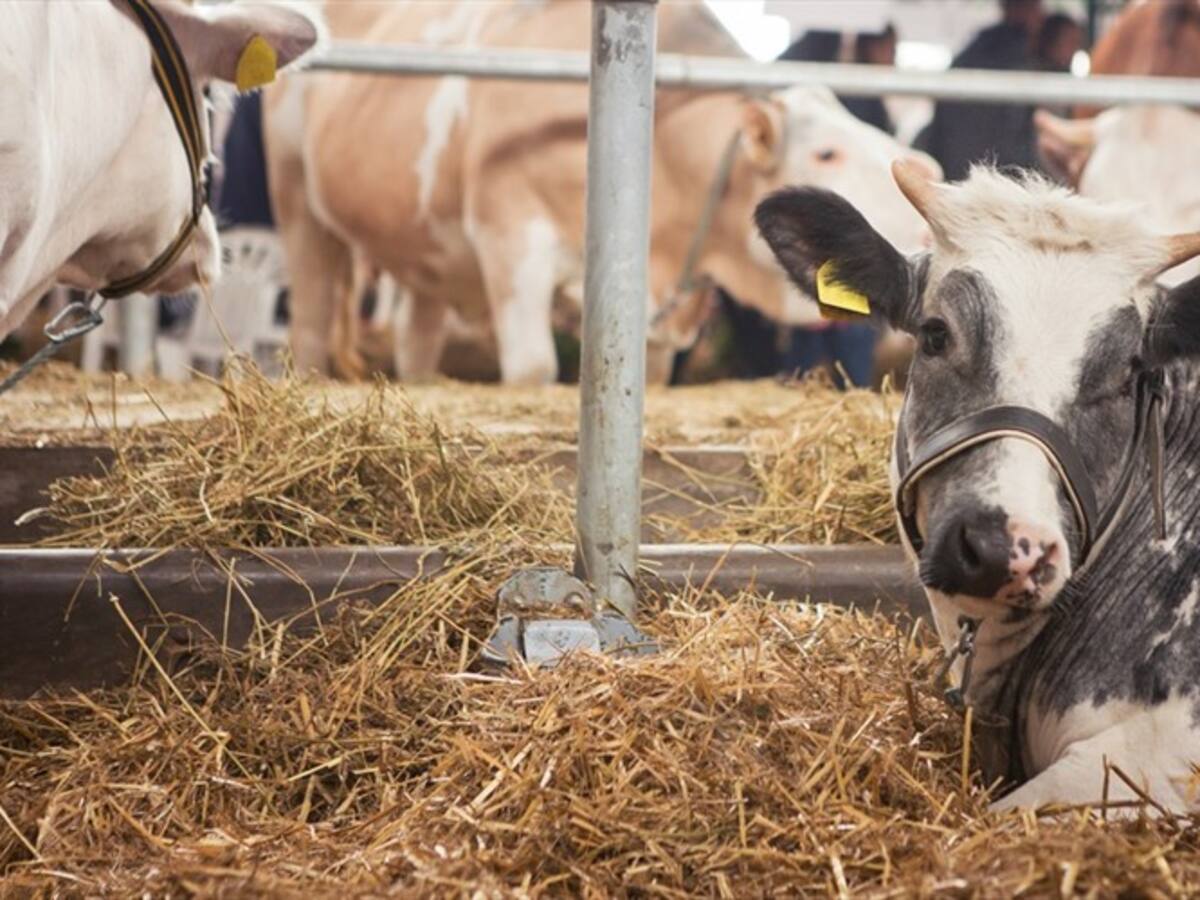 TV Agro cuenta con un potencial de 20 millones de televidentes