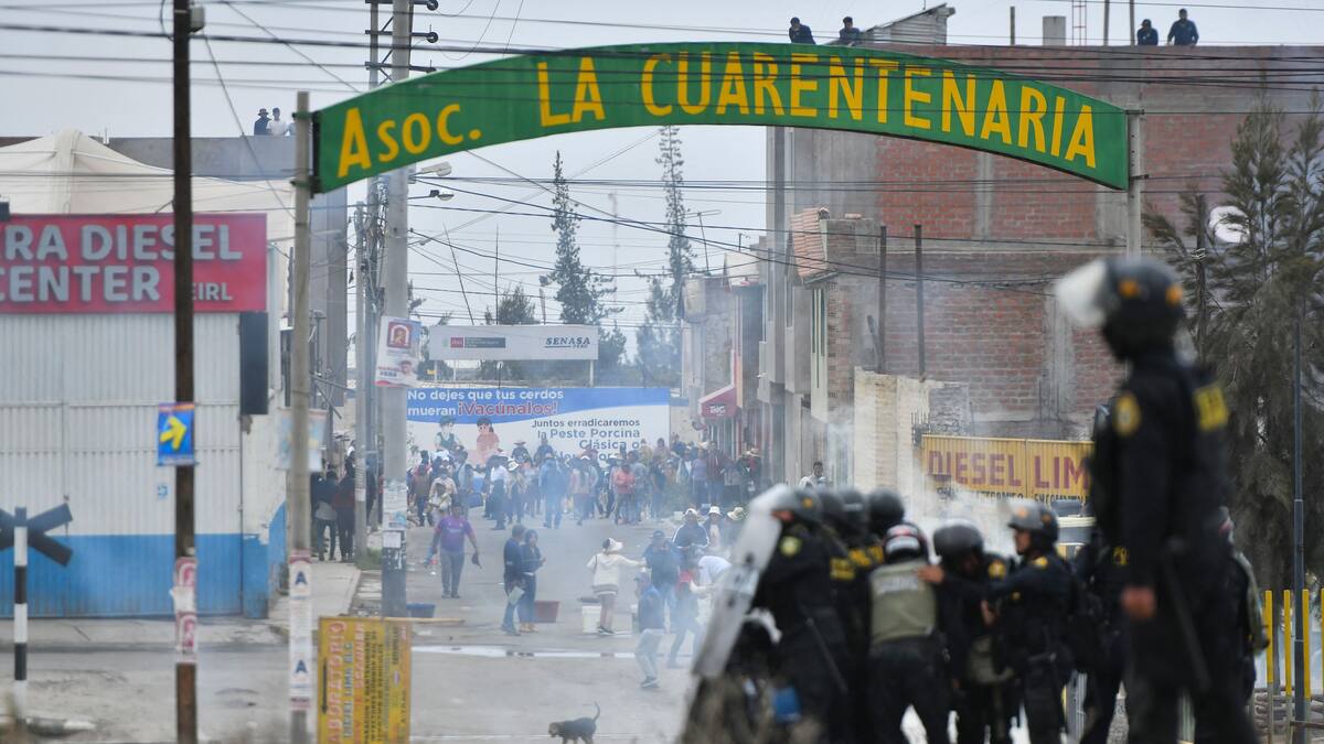 Son sindicalistas y líderes de minería ilegal: periodista sobre protestas en Perú