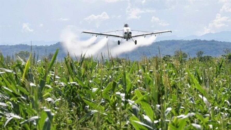 Iglesia Católica llama la atención por movilizaciones y glifosato. Foto: Colprensa