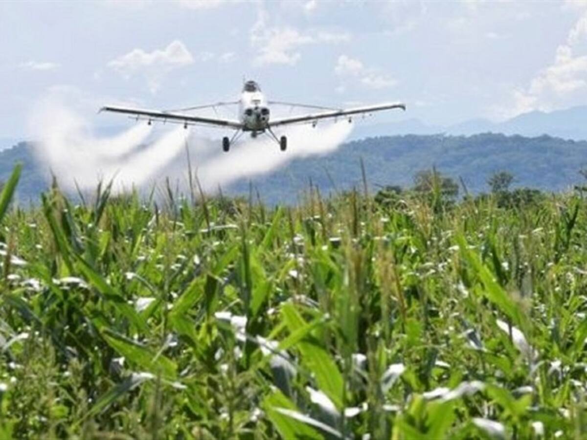 Iglesia Católica llama la atención por movilizaciones y glifosato en Catatumbo