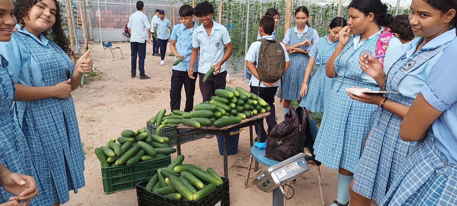 Estudiantes de la Institución Educativa Departamental Rural de Medialuna/ Gobernación del Magdalena.