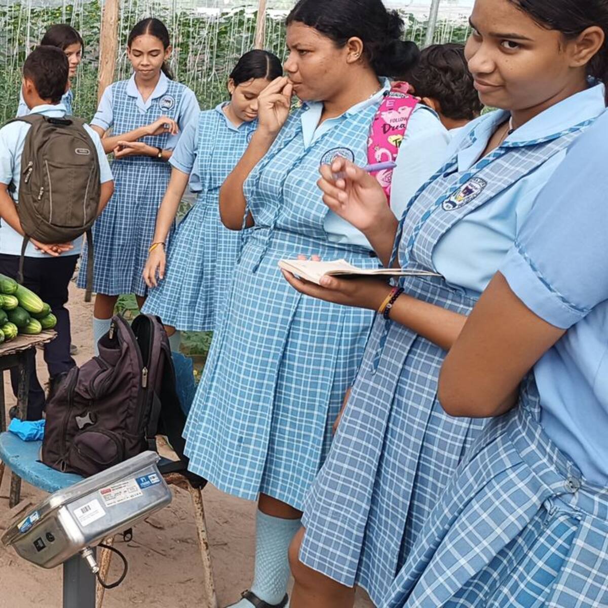 Colegio de Pivijay, Magdalena seleccionado para presentar proyecto en la COP 16