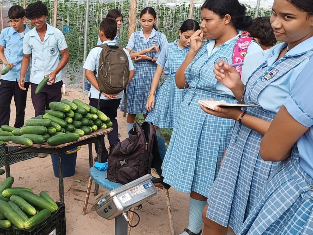 Colegio de Pivijay, Magdalena seleccionado para presentar proyecto en la COP 16