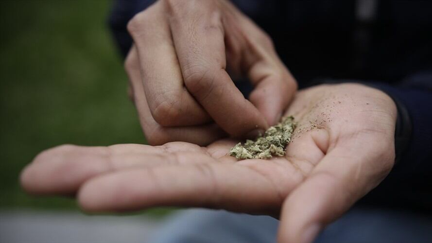 Legalización de la marihuana en Colombia. Foto: Colprensa