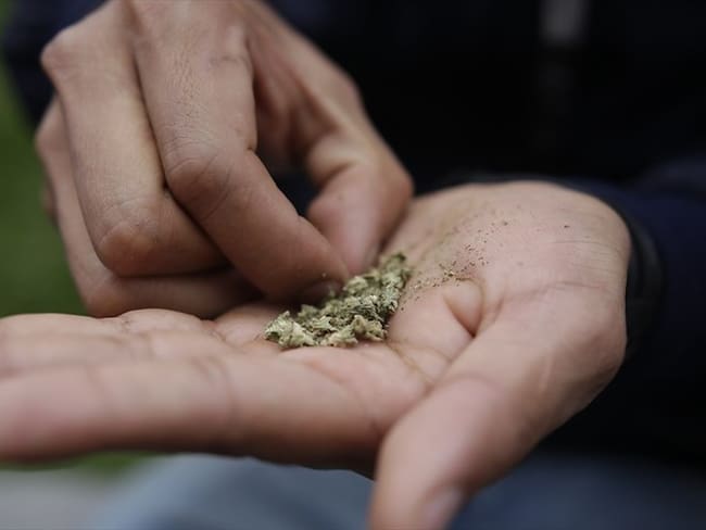 Legalización de la marihuana en Colombia. Foto: Colprensa