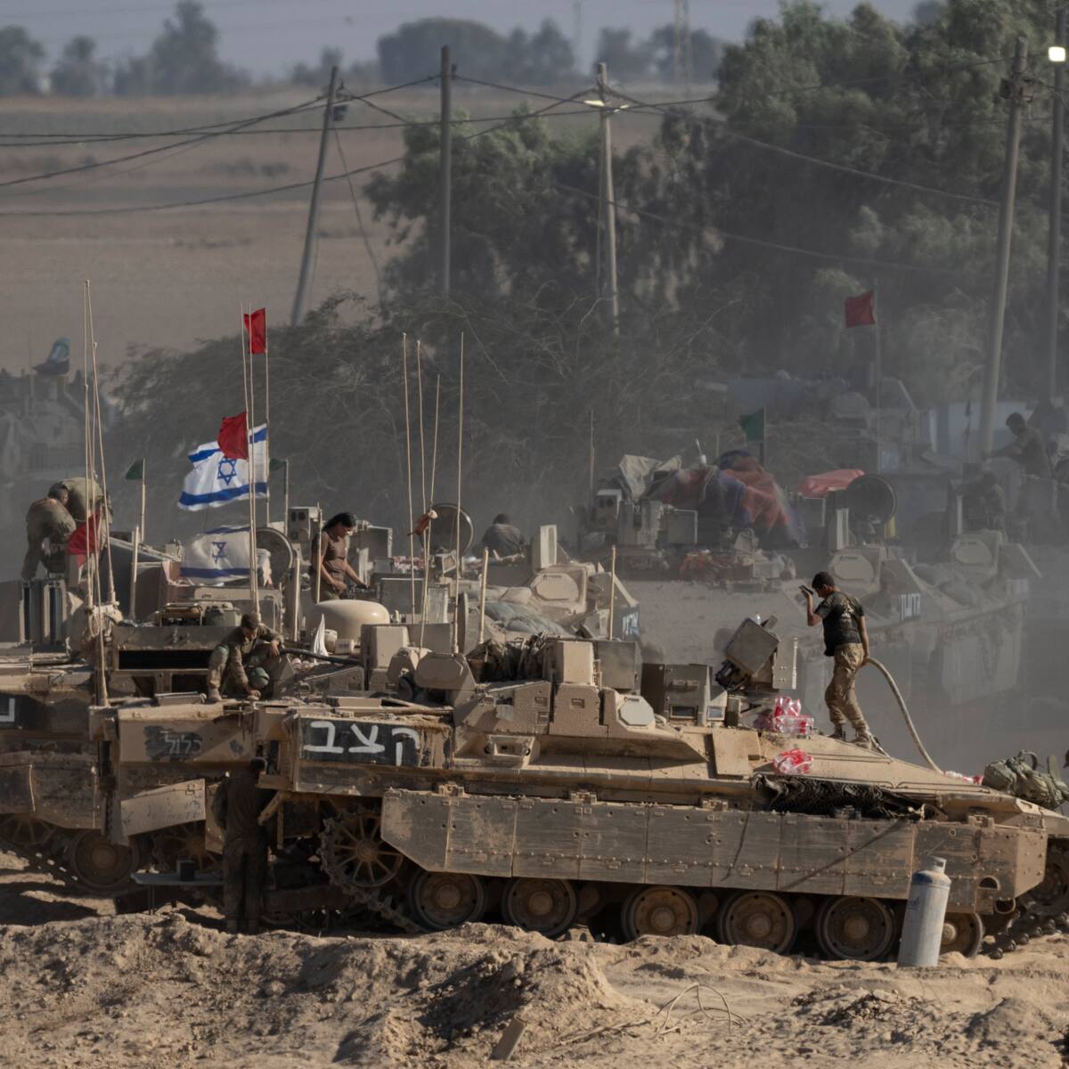 El Ejército israelí arrancó más de 3.000 olivos de una aldea palestina