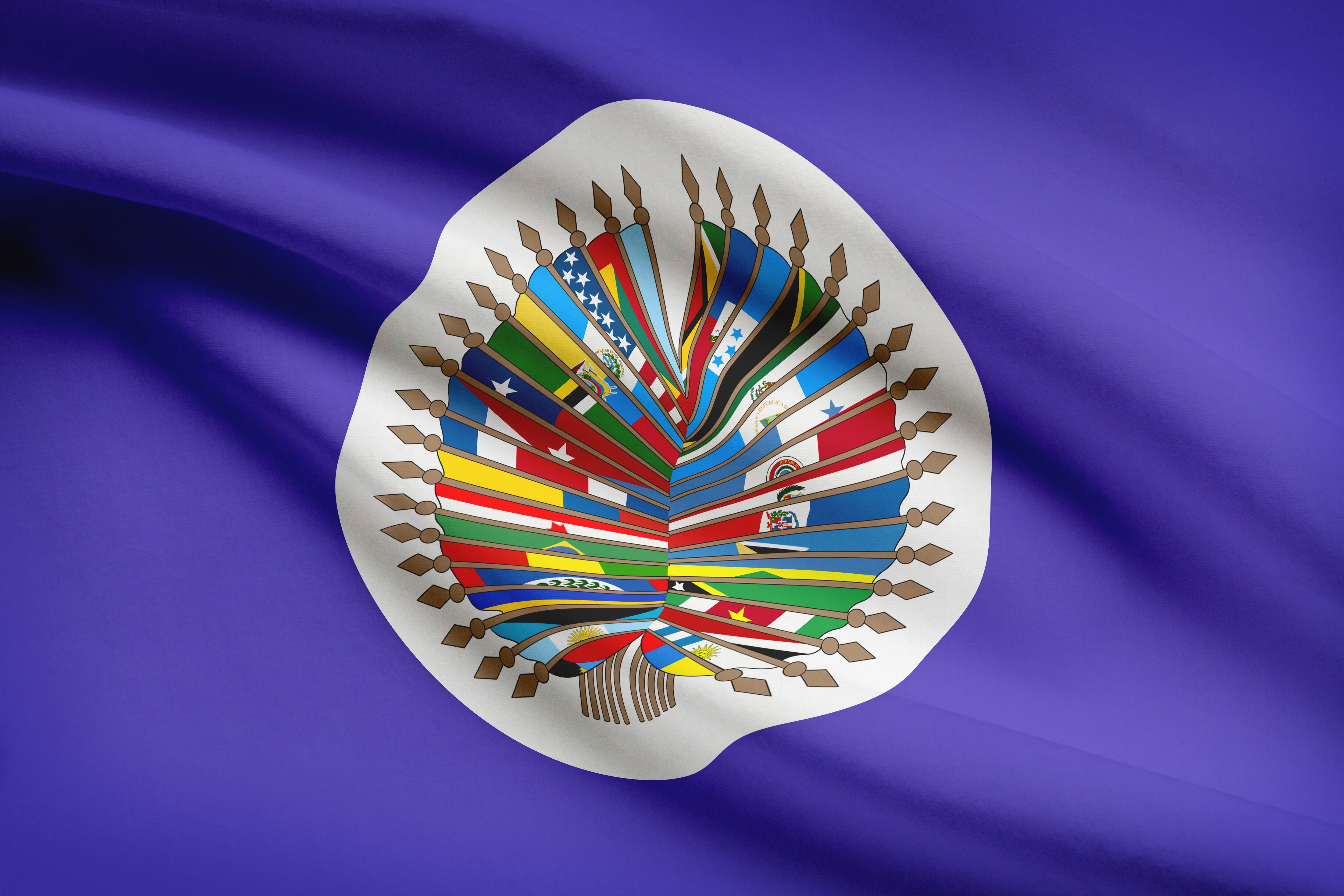 Bandera de la OEA. Foto: Getty Images.