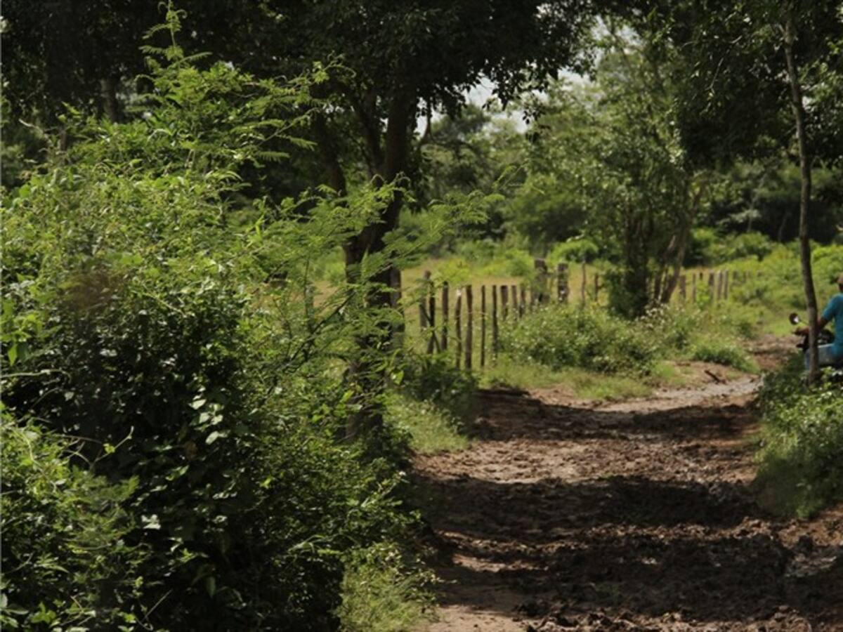 Compensarán a familias del Magdalena que de "buena fe" compraron predios de reclamantes