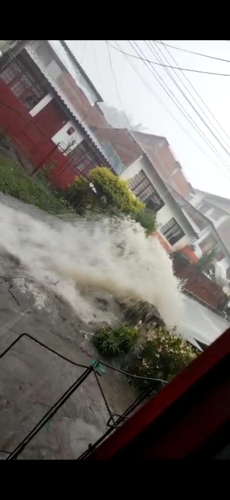 Crédito: Secretaría de Medio Ambiente.