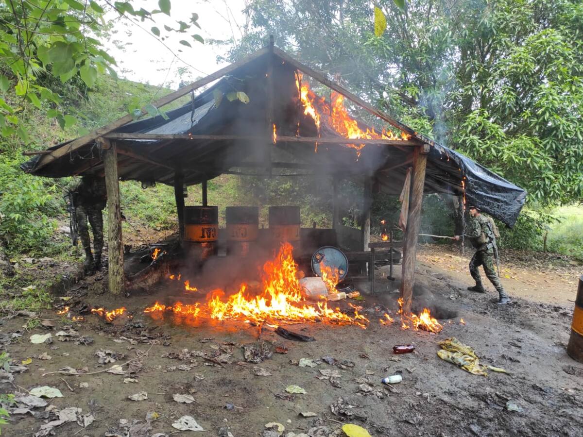 Destruyen dos laboratorios para el procesamiento de coca en Puerto Libertador, Córdoba