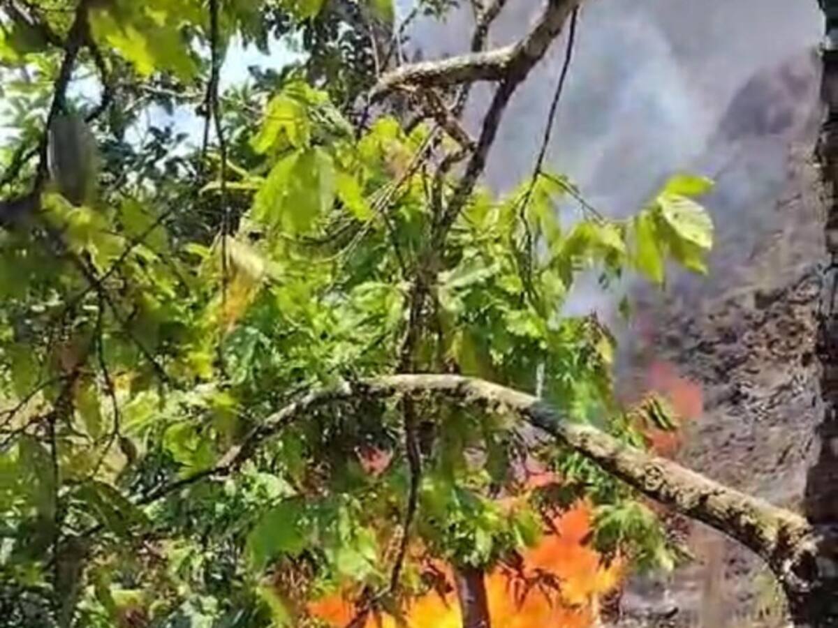 Seis municipios de Caldas reportan incendios de cobertura vegetal por altas temperaturas