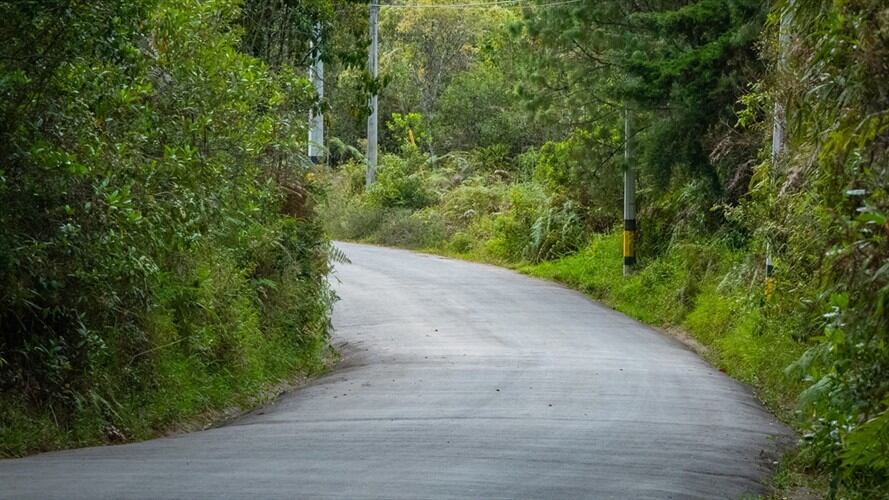 La carretera en Guaviare que estaría al servicio de los grupos disidentes de alias 'Gentil Duarte' habría afectado una importante área de reserva en la Amazonía. Foto: Getty Images / ALEXANDRE MORIN-LAPRISE
