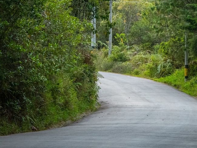 La carretera en Guaviare que estaría al servicio de los grupos disidentes de alias &#039;Gentil Duarte&#039; habría afectado una importante área de reserva en la Amazonía. Foto: Getty Images / ALEXANDRE MORIN-LAPRISE