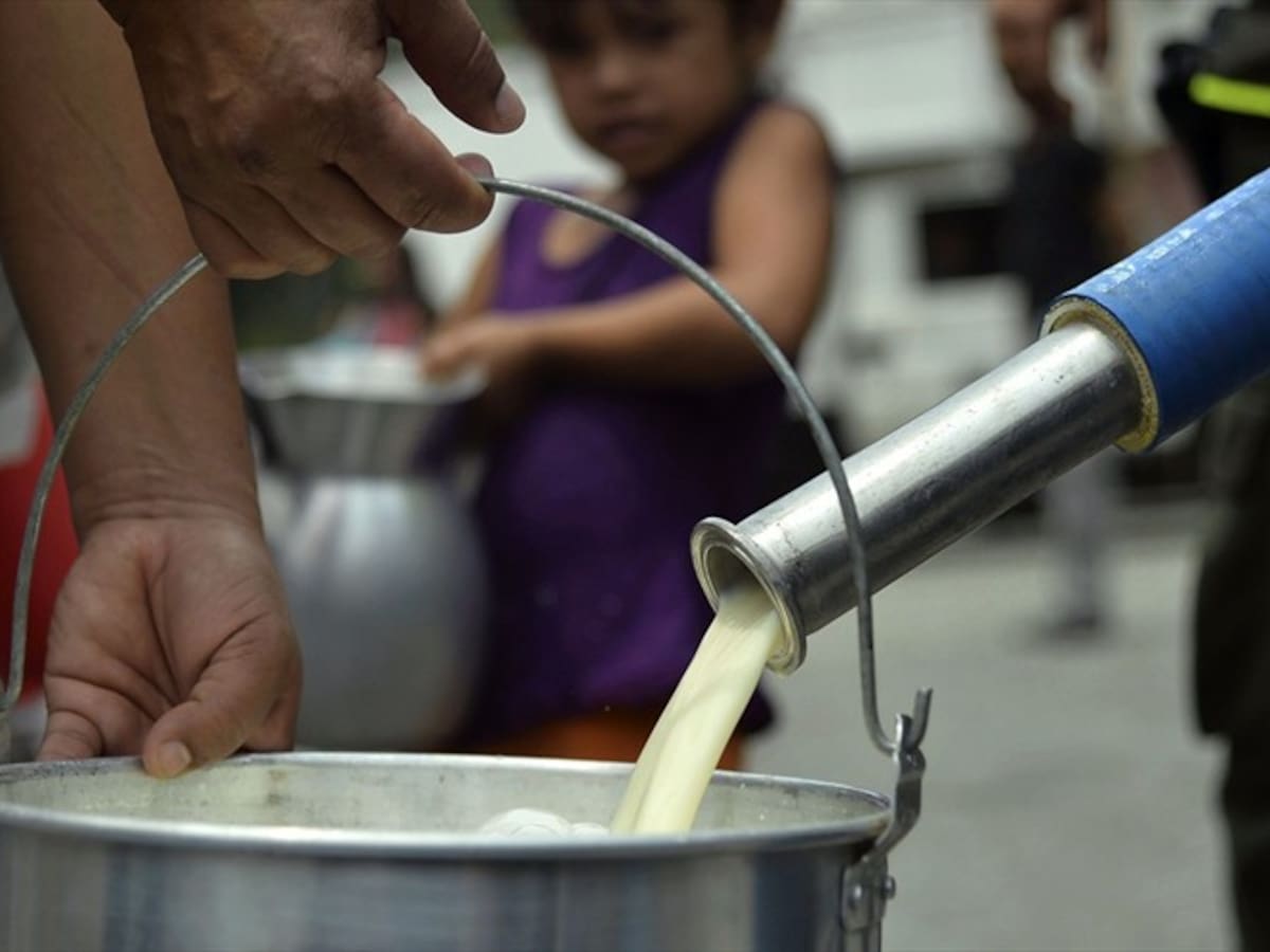 Lecheros de Boyacá anuncian plantón en Mincomercio por TLC con Nueva Zelanda