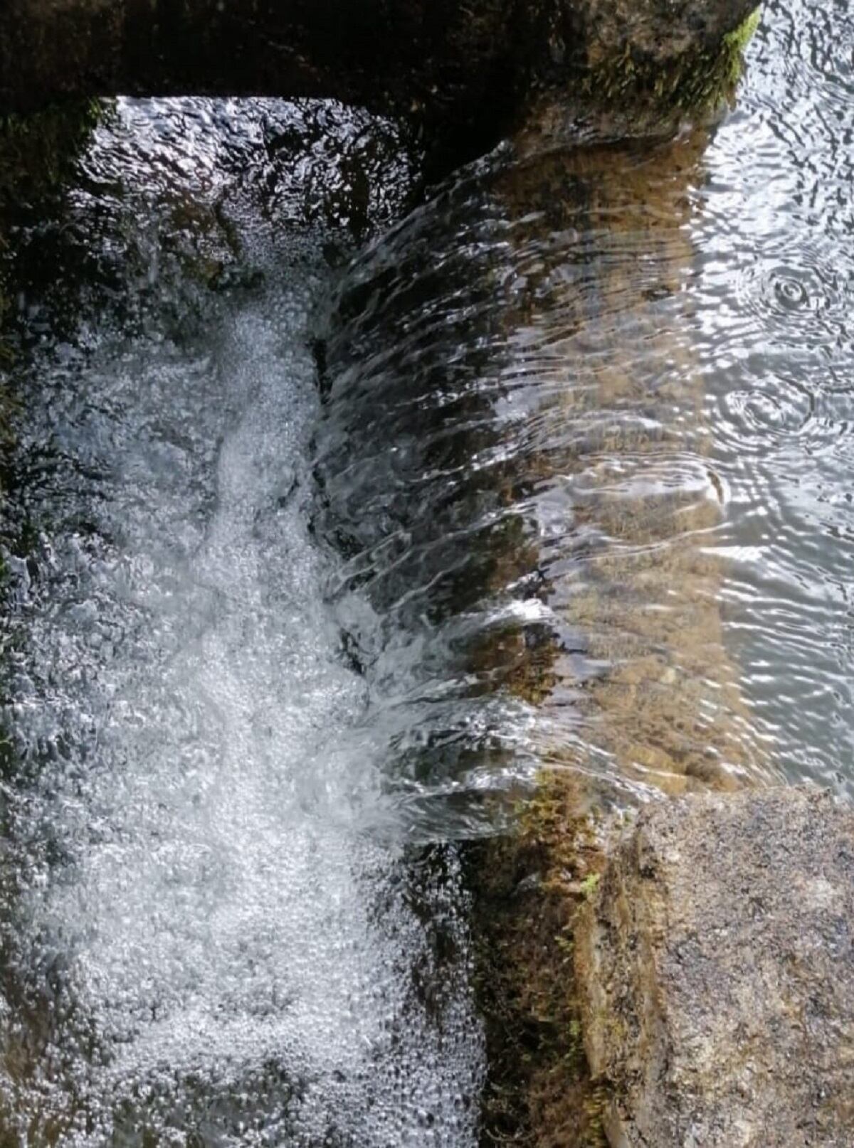 Crédito: Suministrada.