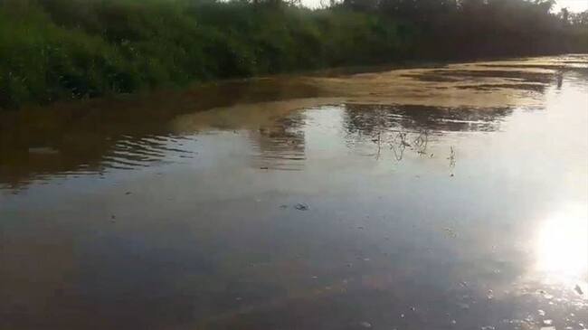 Estudio realizado en el 2018 reveló que hay partículas de E coli. Foto: