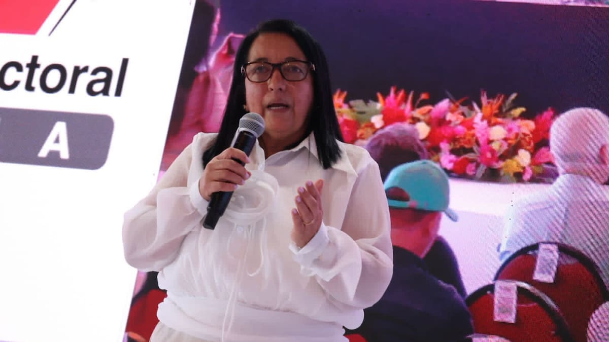 “Hay tratamiento diferencial”: magistrada del CNE sobre sanción a campaña Petro Presidente