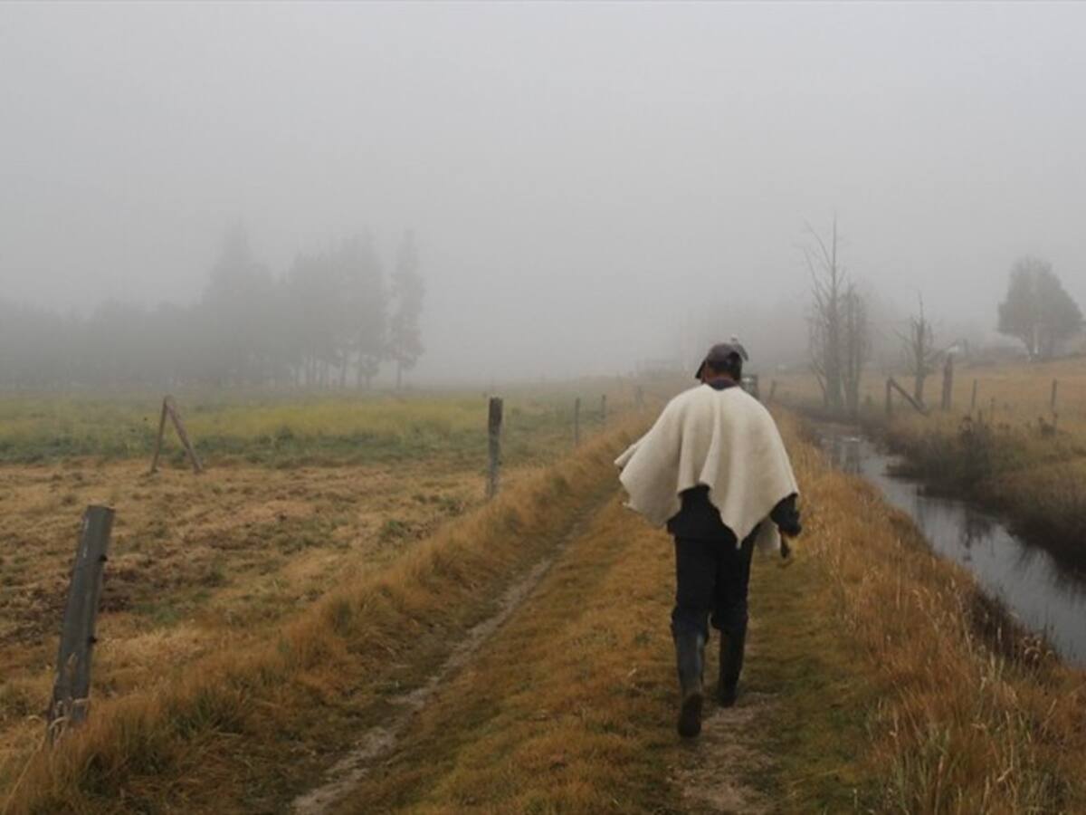 Minagricultura se reunirá con productores boyacenses por afectaciones climáticas