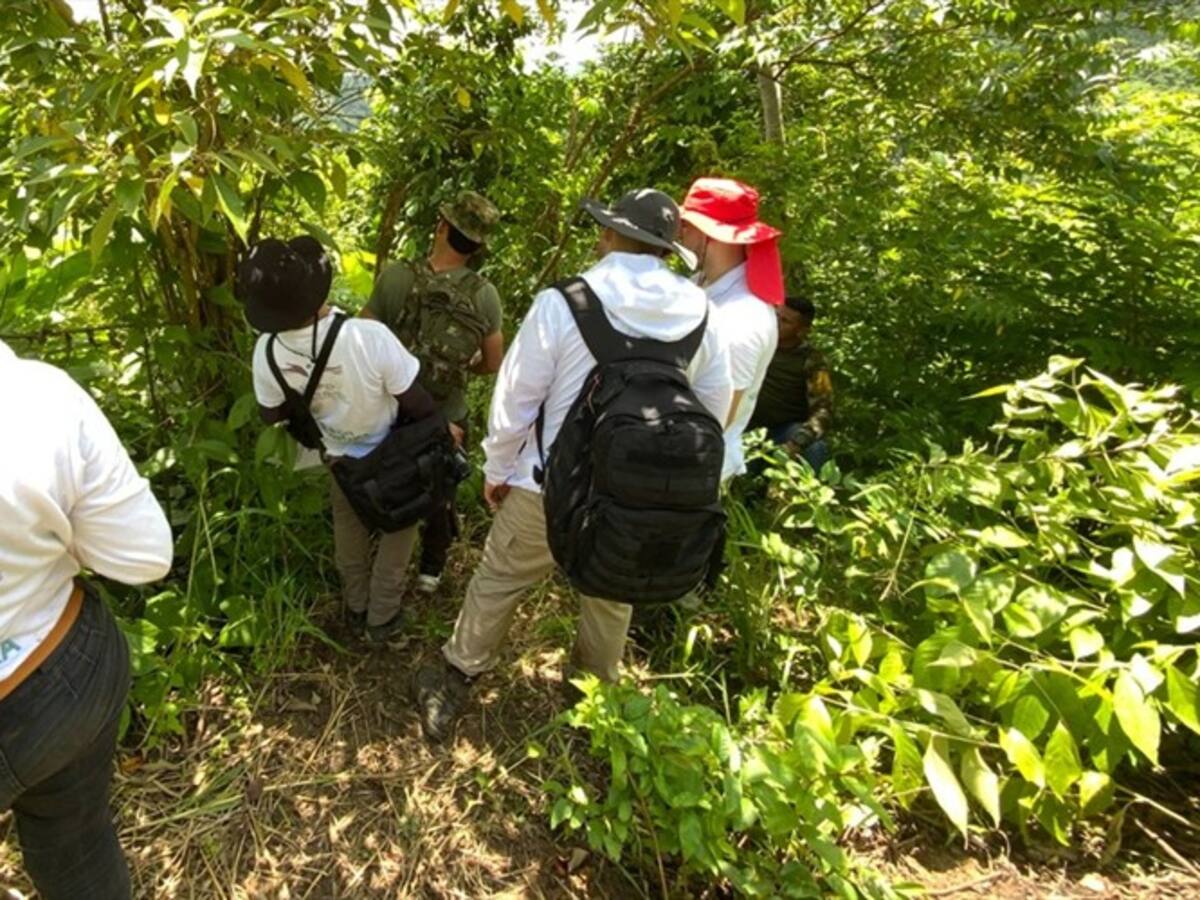 Unidad de Búsqueda reportó el hallazgo de 19 fosas comunes en los Montes de María