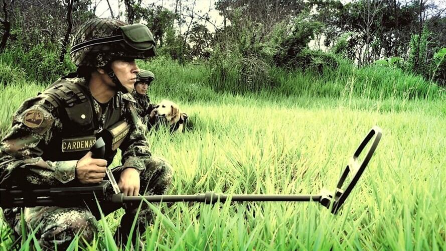 Dicha prórroga según el Gobierno Nacional se da con motivo a la emergencia sanitaria que afronta el país por la pandemia del coronavirus.. Foto: Colprensa