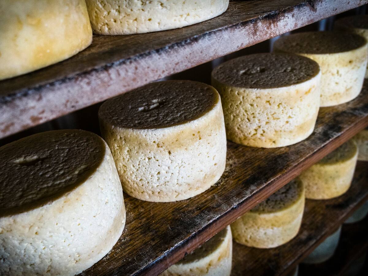 Así es el queso más caro del mundo, que se vendió por 33.000 dólares