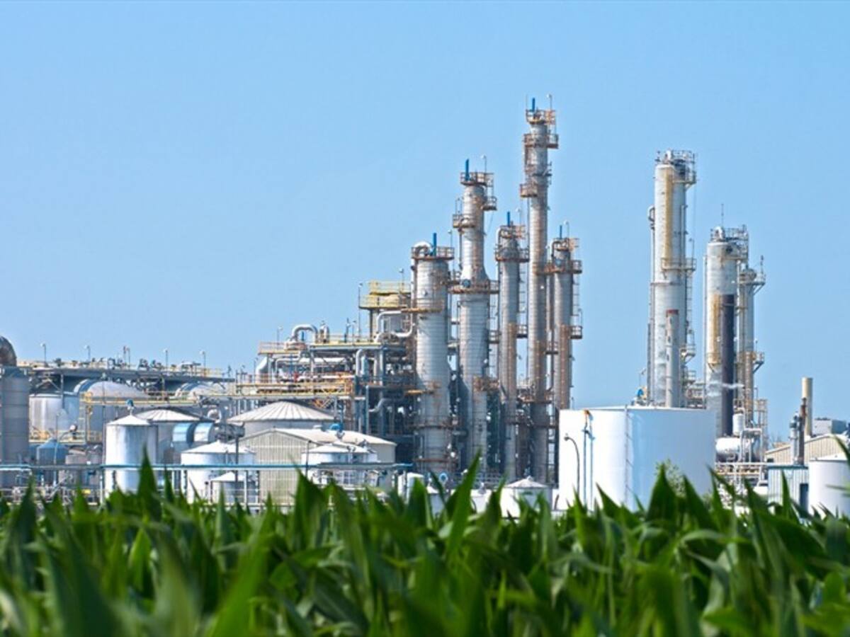 Corrupción y poca planeación: la razón del fracaso de Bioenergy según Cedetrabajo