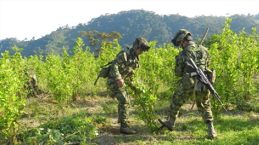 Imagen de referencia. Foto: Colprensa