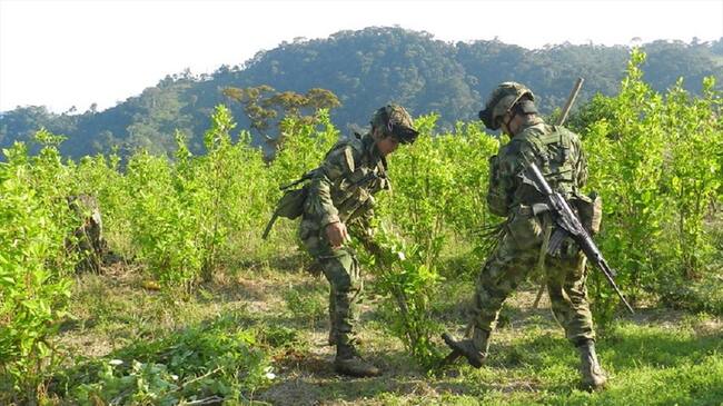 Imagen de referencia. Foto: Colprensa