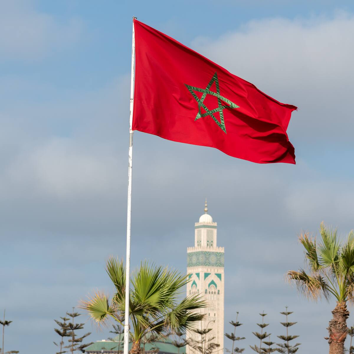 Hallan en diez días los cadáveres de 9 emigrantes en un bosque en el noreste de Marruecos