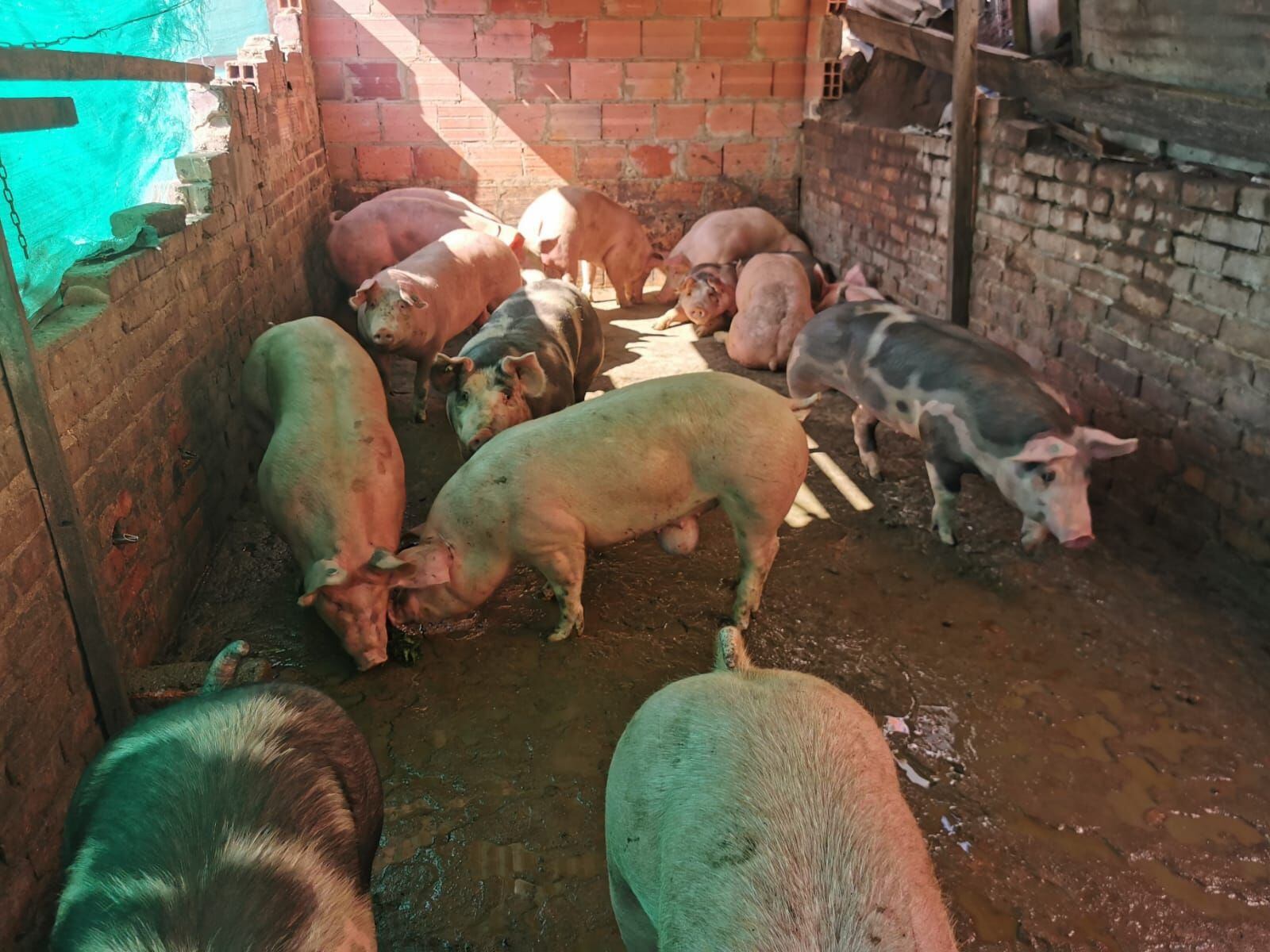 Foto: Policía de Tunja