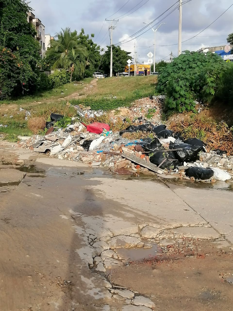 Basuras en Barranquilla. Foto: Suministrada