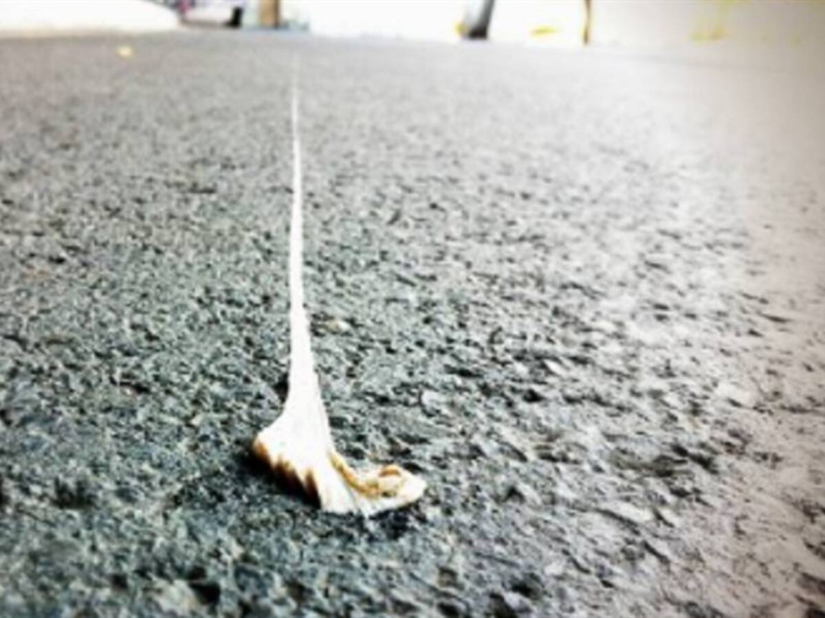 Bogotá: conozca sanciones por botar chicles y colillas de cigarrillo en espacios públicos