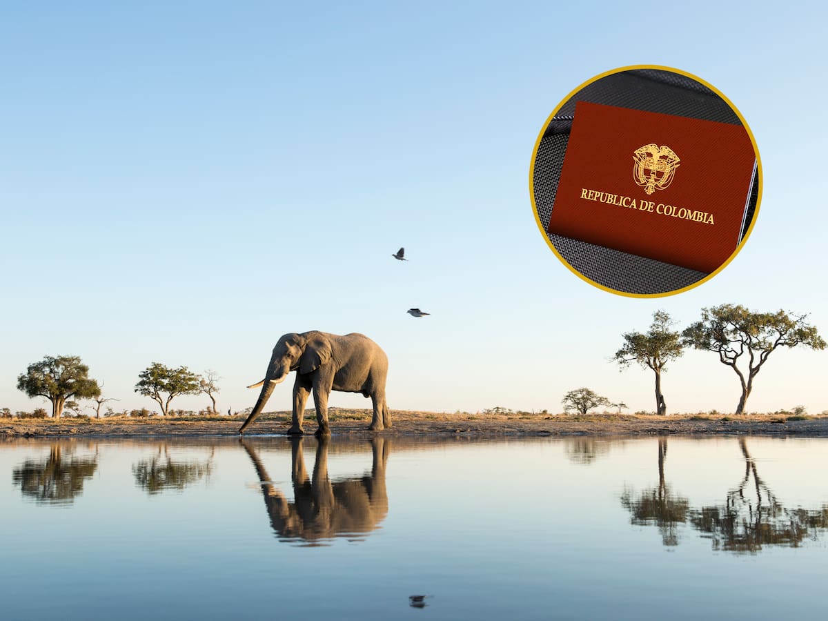 Lista de países de África a los que puede viajar sin visa desde Colombia