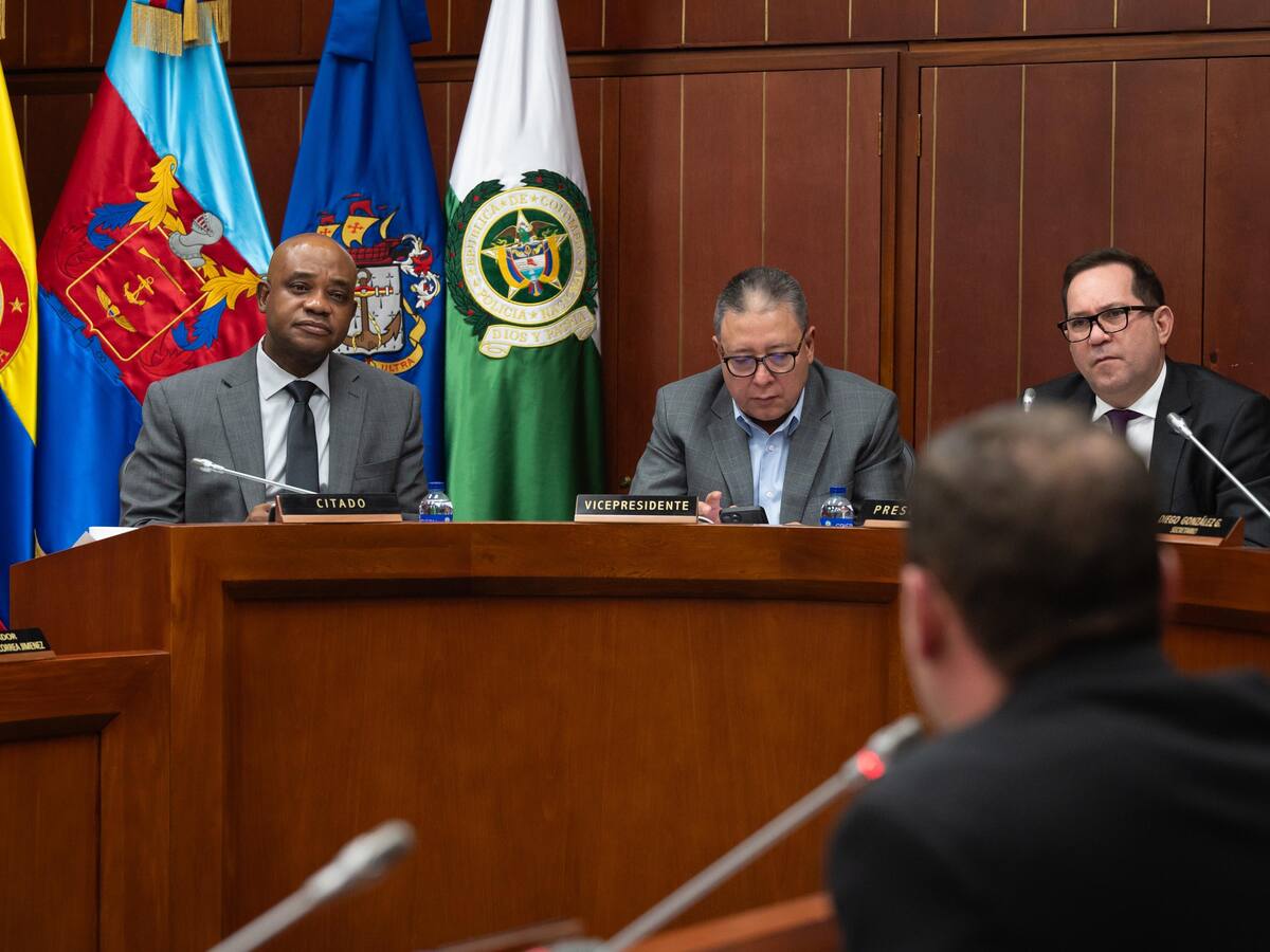 Canciller (e) espera conceptos jurídicos para decidir sobre licitación de pasaportes