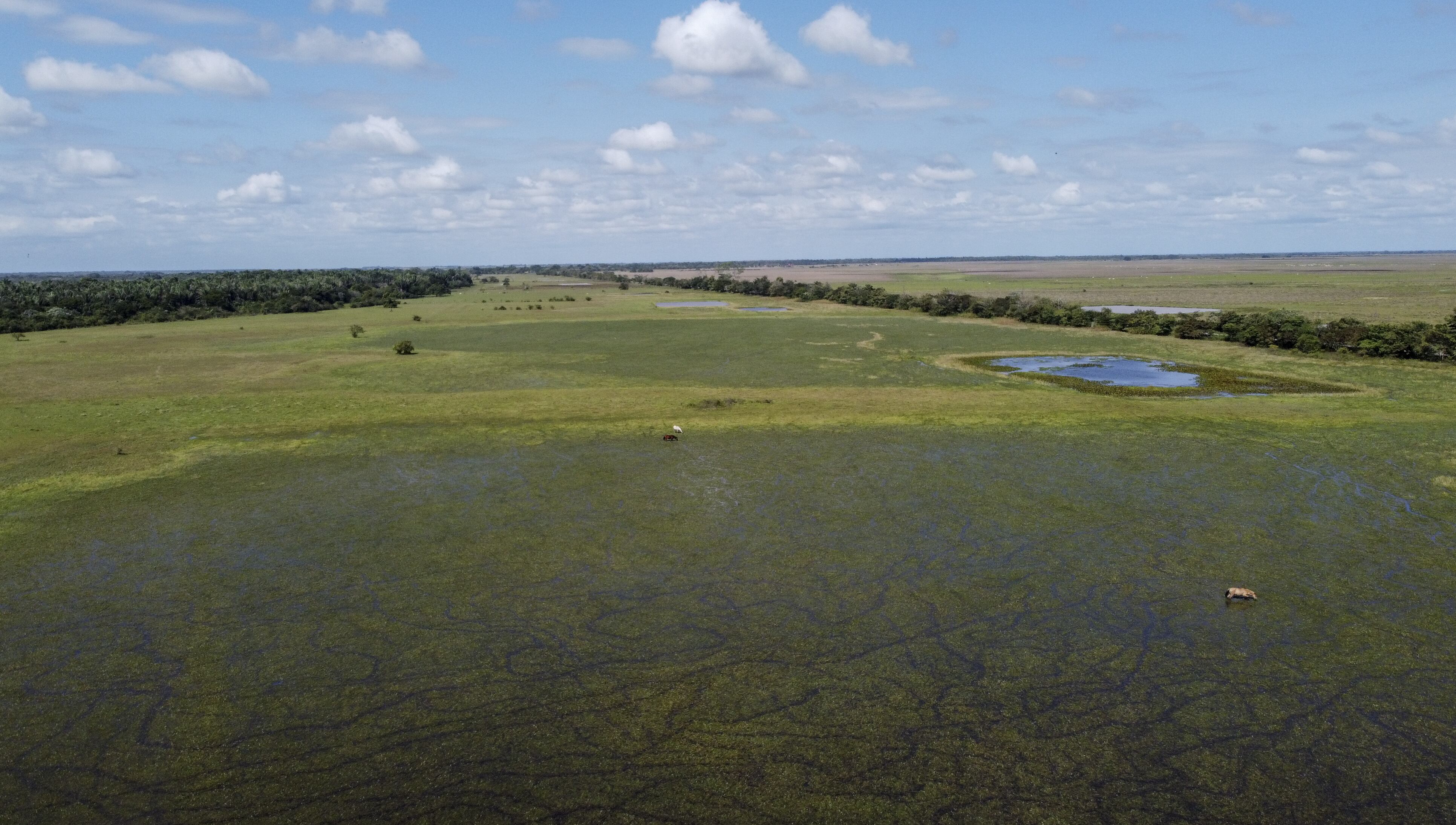 ARAUCA, COLOMBIA (Photo by Juancho Torres/Anadolu Agency via Getty Images)