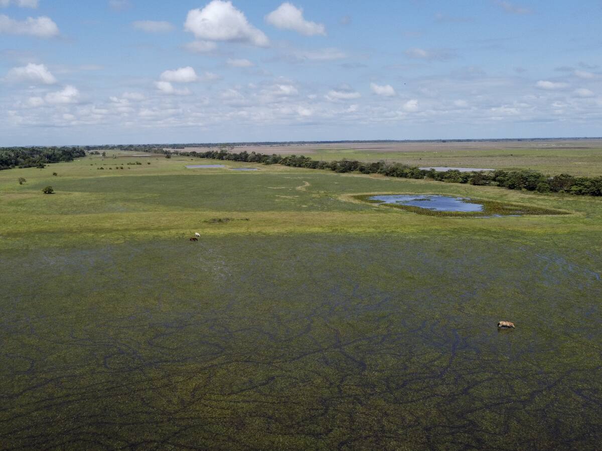 Arauca vive una ola de violencia y aún no tiene gobernador en propiedad