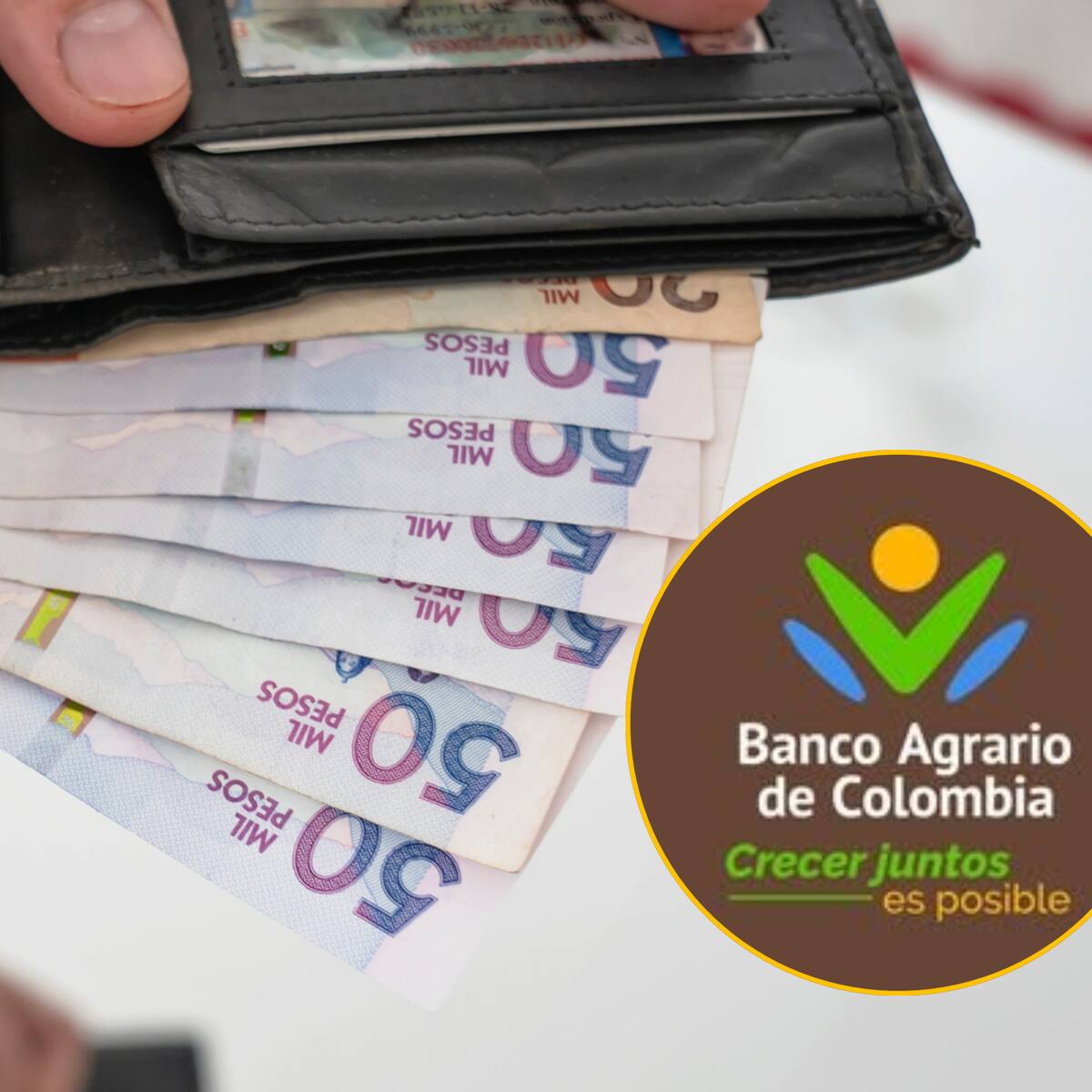 Estos son los 3 subsidios que paga el Banco Agrario a nivel nacional: Cómo saber si es beneficiario