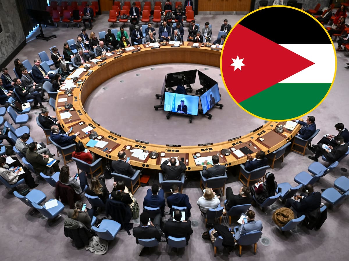 Palestina solicitó al Consejo de Seguridad actuar en Gaza “o se convertirán en irrelevantes”