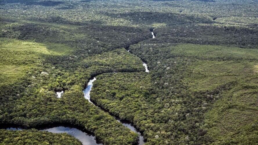 Esta actividad ha puesto en peligro los suelos, las fuentes hídricas y la vida silvestre en un área de especial protección ambiental.. Foto: Getty Images