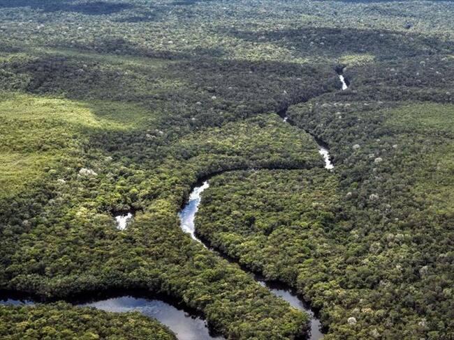 Esta actividad ha puesto en peligro los suelos, las fuentes hídricas y la vida silvestre en un área de especial protección ambiental.. Foto: Getty Images
