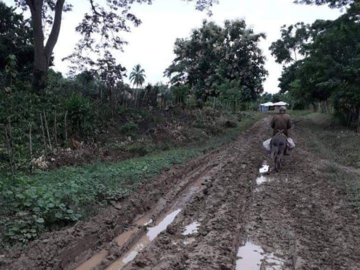 Pésimo estado de las vías afecta jornadas de clases en zona rural de Moñitos