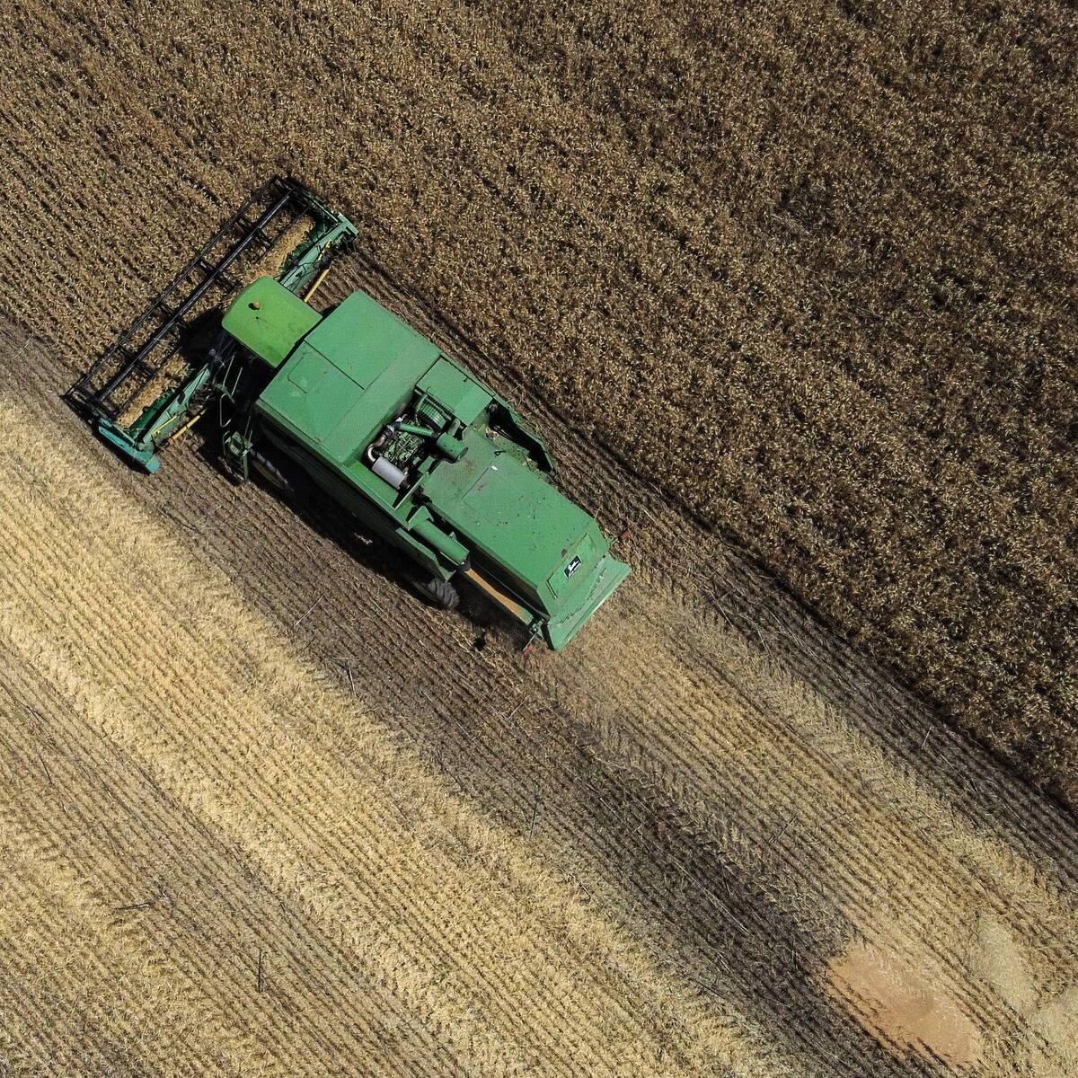 ¿Qué tan posible es un desbloqueo ruso para sacar el cereal de Ucrania?