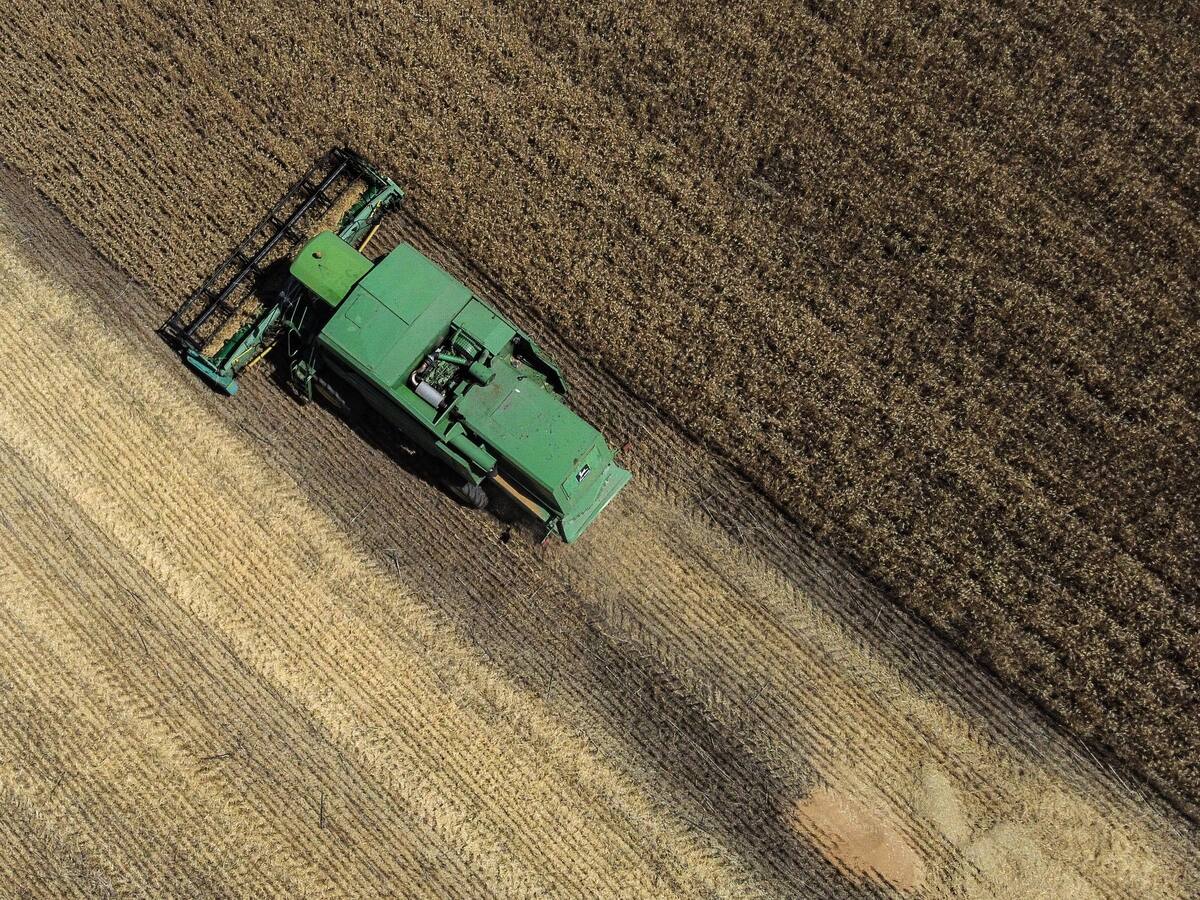 ¿Qué tan posible es un desbloqueo ruso para sacar el cereal de Ucrania?