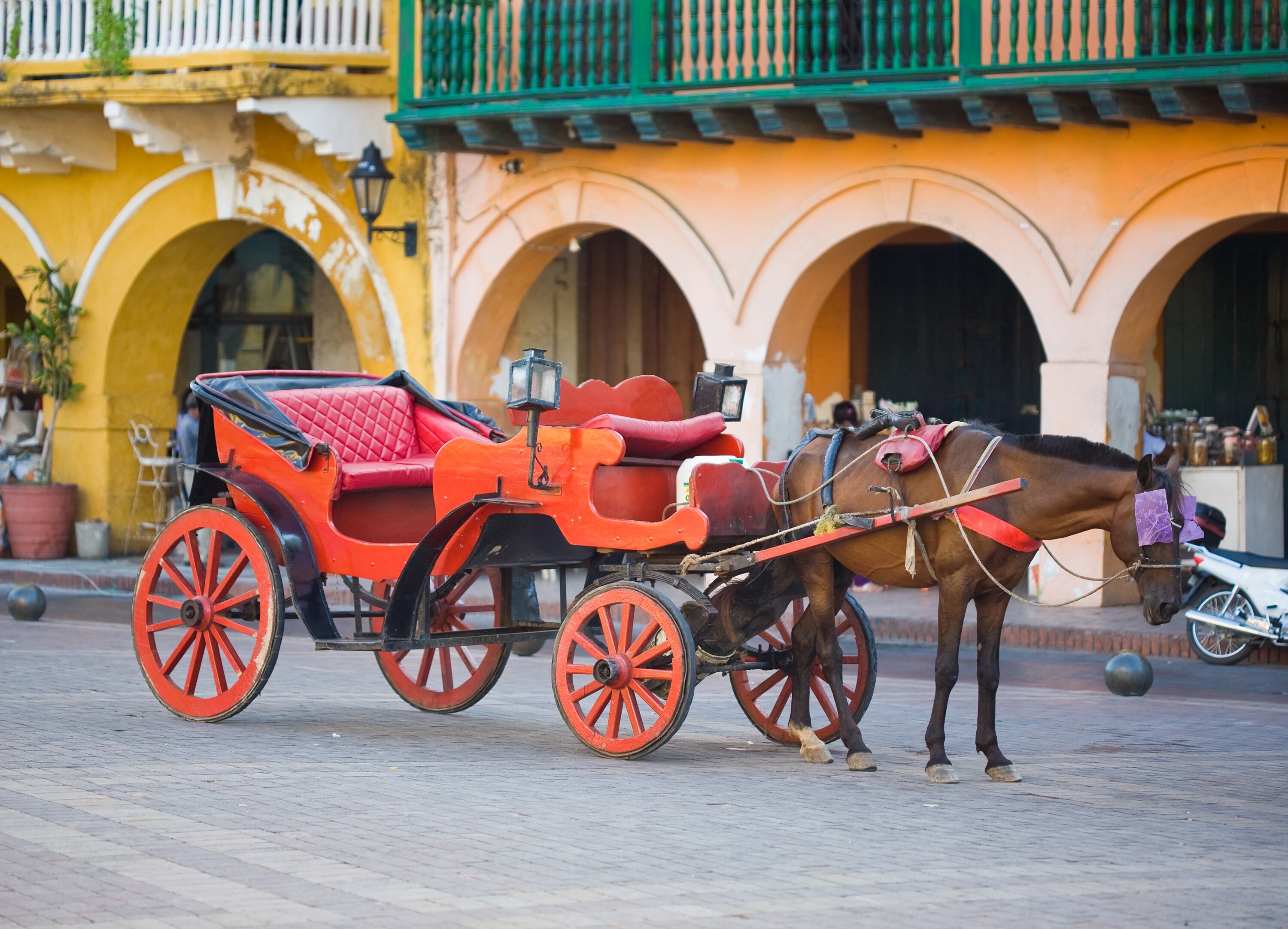 Caballo chochero en Cartagena, Colombia. Imagen de referencia. Foto: Getty Images.