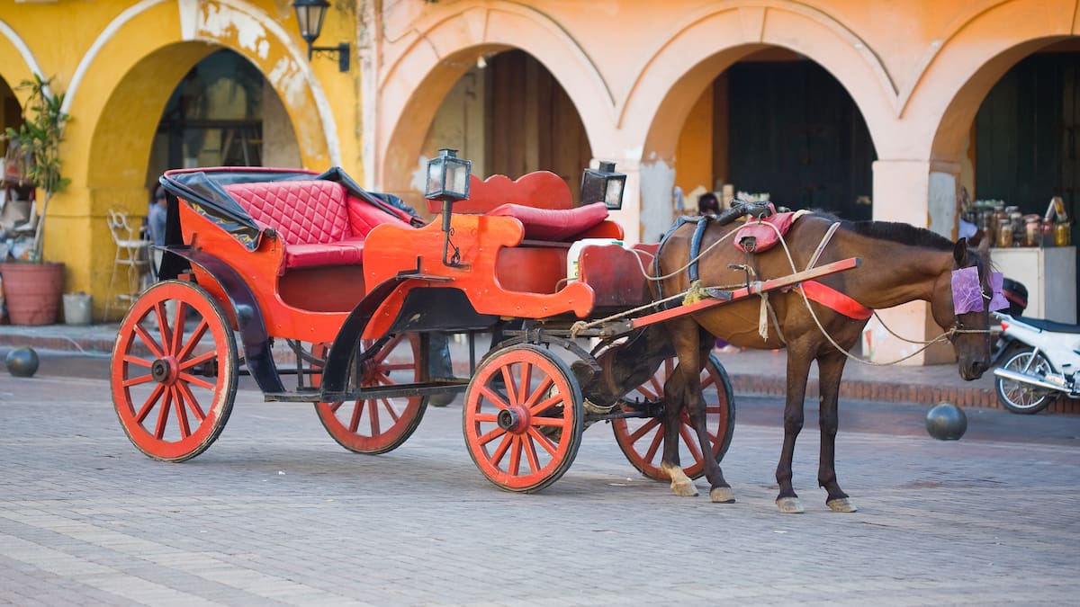 Caballos continuarán hasta elegir los coches eléctricos: gremio de cocheros en Cartagena