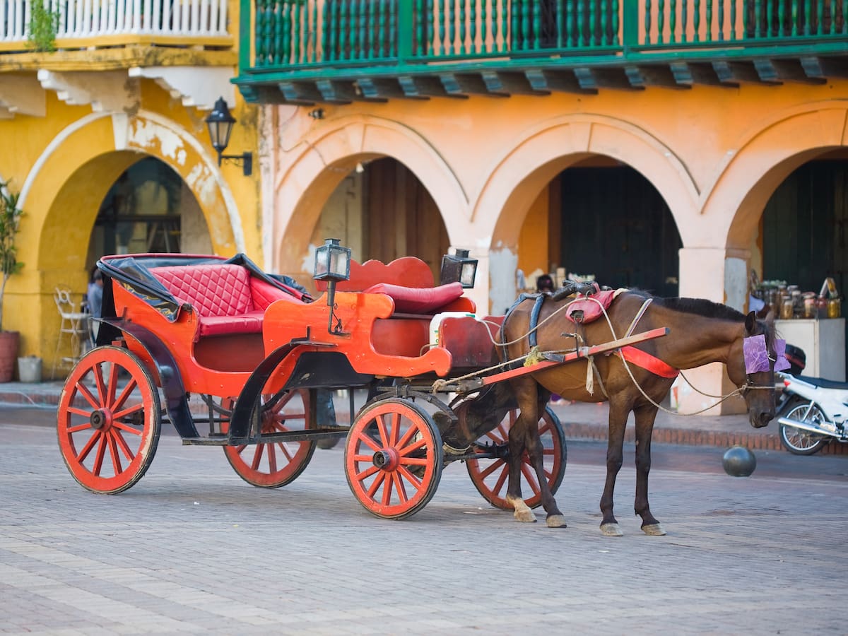 Caballos continuarán hasta elegir los coches eléctricos: gremio de cocheros en Cartagena