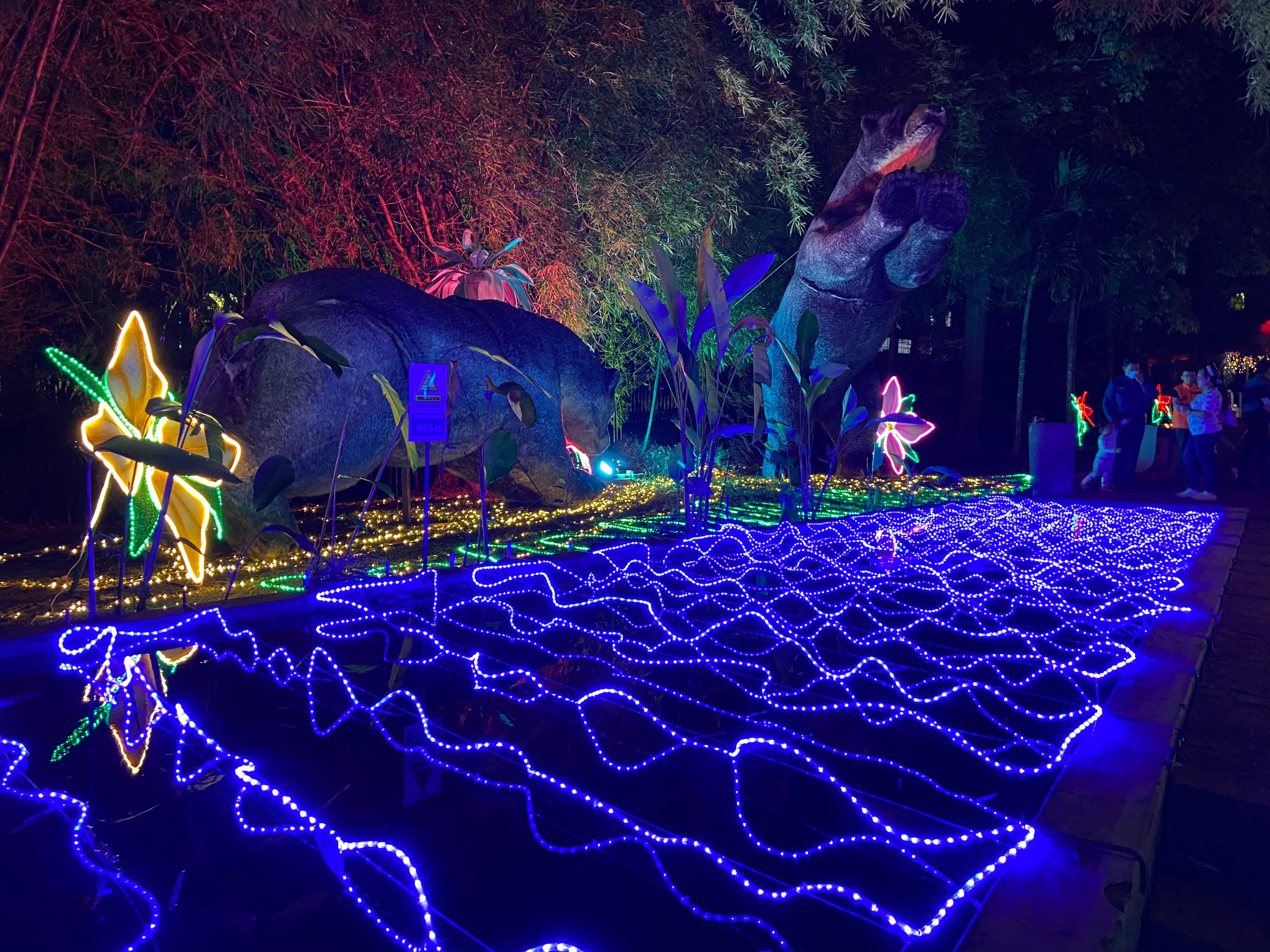 Alumbrado navideño: Contraloría de Bucaramanga abrió actuación especial por millonario contrato. Foto: Suministrada.